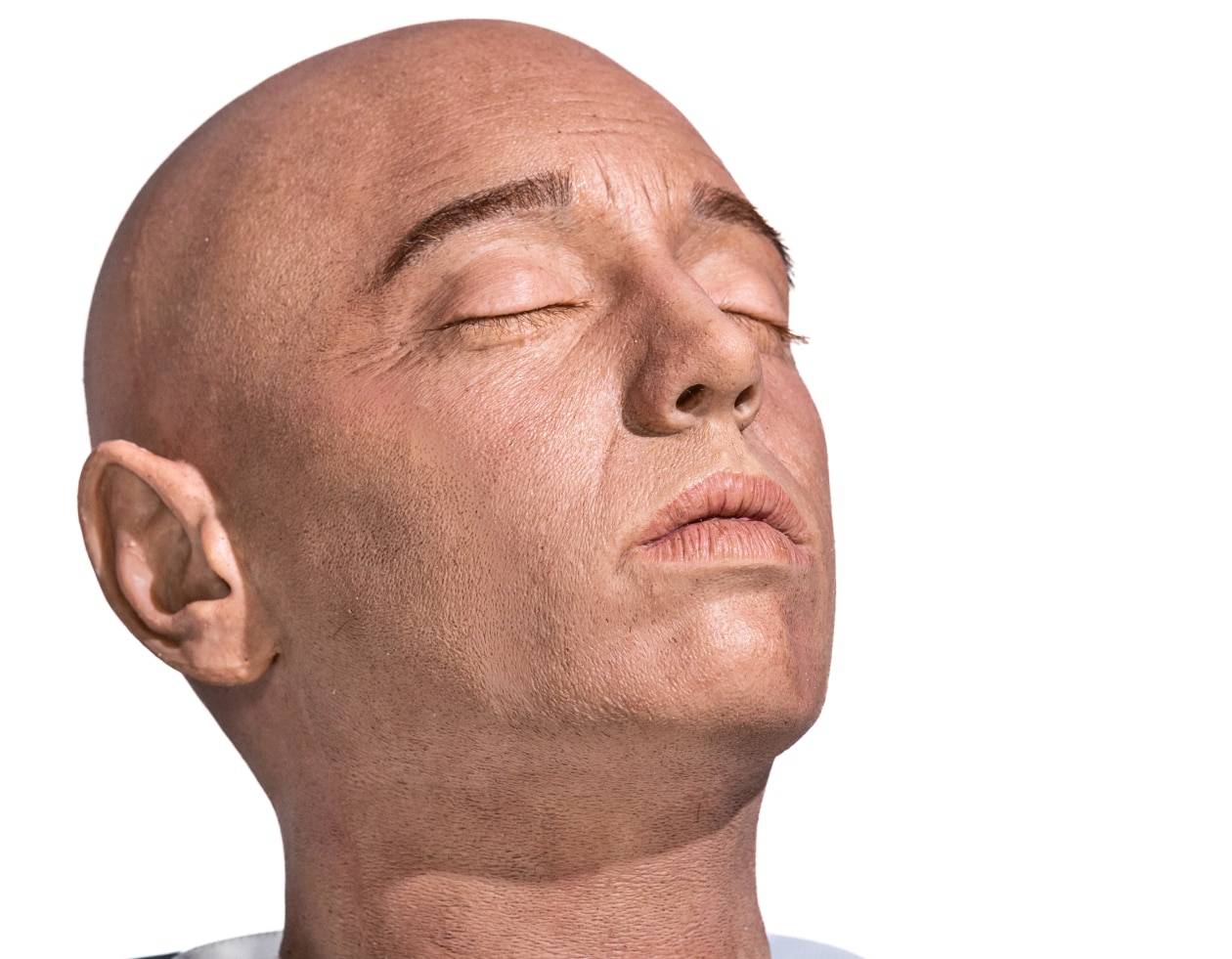 Los simuladores de inyección facial de RealMed Simulators