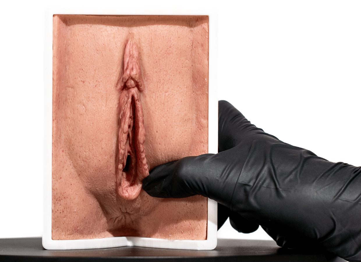 maniqui-de-vagina-para-practica-medica-realmed-simulators