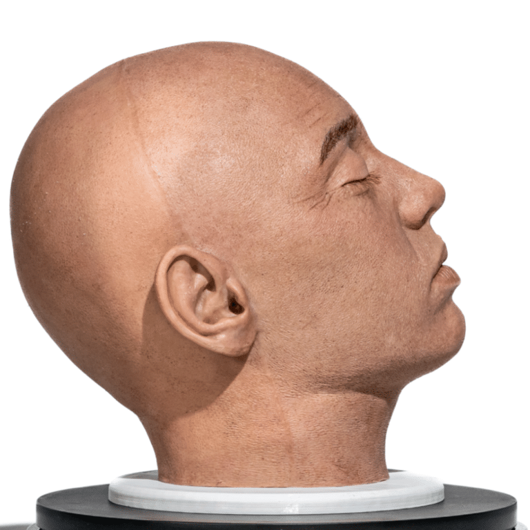 simulador-cabeza-completa-para-practicas-medicas-realmedsimulators-perfil