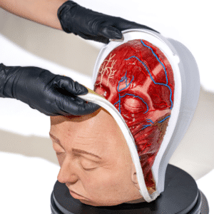 head-simulator-with-3-layers-for-medical-practice-realmedsimulators