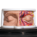 anatomical-eye-simulator-for-medical-practice-realmedsimulators