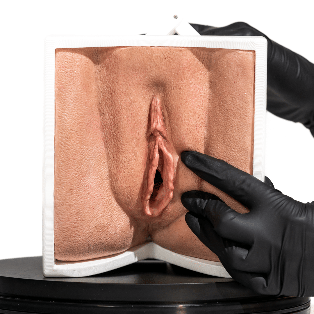 vagina-simulator-with-opening-for-medical-practice-realmedsimulators